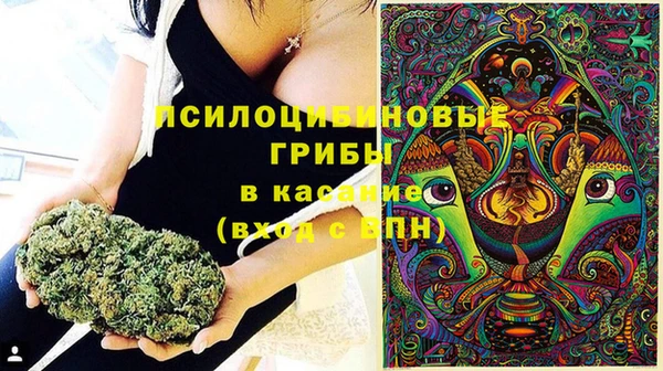 марки nbome Новокубанск